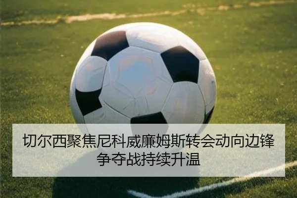 切尔西聚焦尼科威廉姆斯转会动向边锋争夺战持续升温