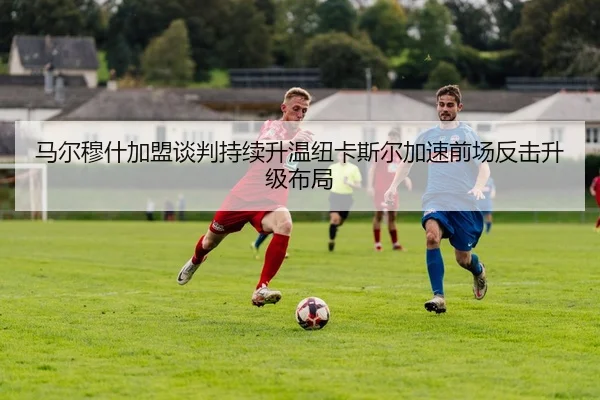 马尔穆什加盟谈判持续升温纽卡斯尔加速前场反击升级布局